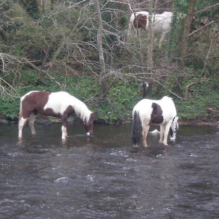 Crystal Springs B&B Killarney Bagian luar foto